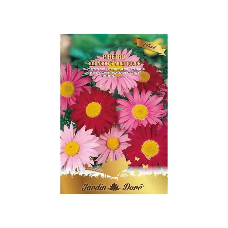 Seminte Flori, Margarete Gigante, 0.5 g, Amestec Multicolor, Rac - Trada Marketplace Preț promoțional