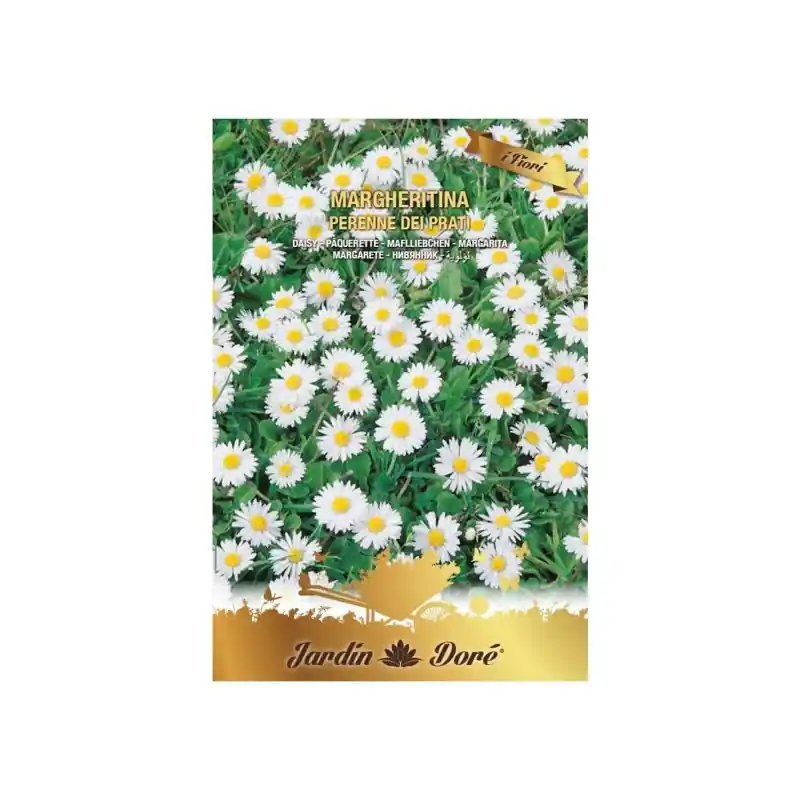 Seminte Flori, Margarete Perenne Dei Prati, Raci Sementi Oferta - Trada Marketplace Livrare rapidă