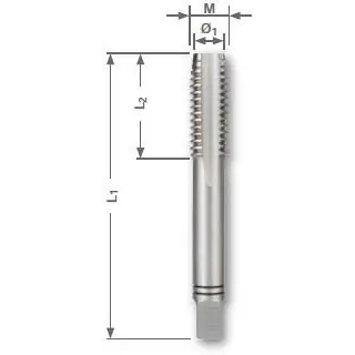 Bestseller Set 3 tarozi de mana din 352 m 5x0.8 mm 230050 Energo